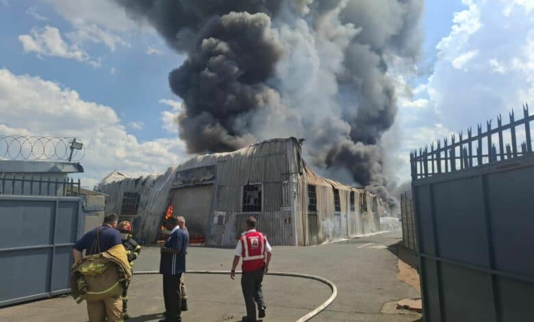 WhatsApp-Image-2026-02-19-at-18.19